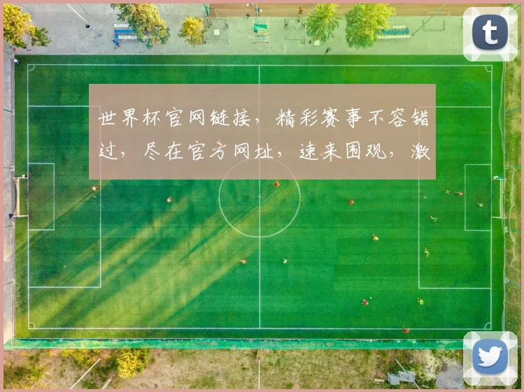 世界杯官网链接，精彩赛事不容错过，尽在官方网址，速来围观，激情四溢